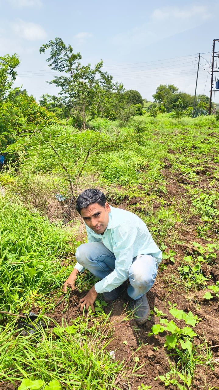 वृक्षारोपण स्थळ